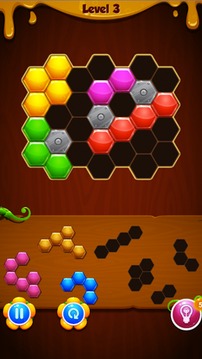 1010! Puzzle Crazy游戏截图3