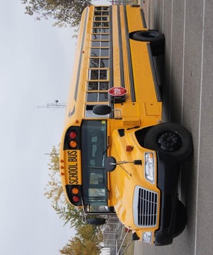 School Bus 3D游戏截图5