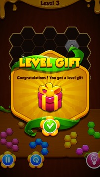 1010! Puzzle Crazy游戏截图5