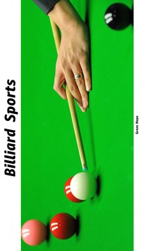 Billiard Sports - Pool Game游戏截图1
