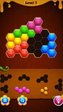 1010! Puzzle Crazy游戏截图1