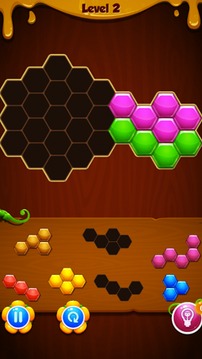 1010! Puzzle Crazy游戏截图2