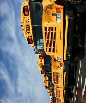 School Bus 3D游戏截图3