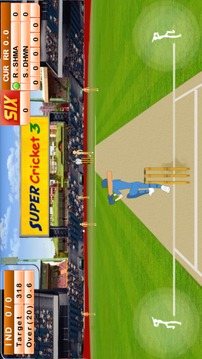 New Super Cricket 3游戏截图4