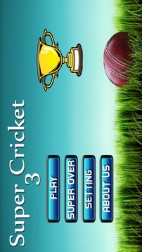 New Super Cricket 3游戏截图1