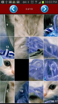 Cat Puzzle游戏截图2