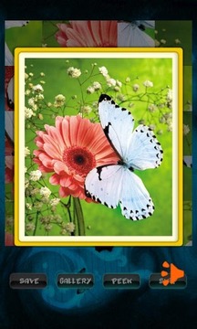 蝴蝶拼图 Butterfly Puzzle游戏截图4