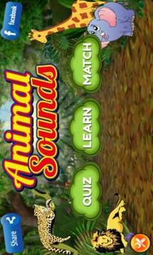 Learn Animal Sounds游戏截图1