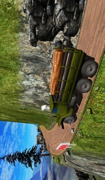 Truck Driver 3D游戏截图3