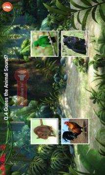 Learn Animal Sounds游戏截图3