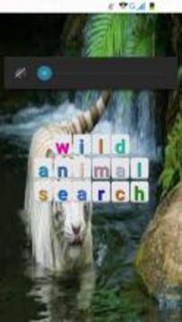 wild animal search游戏截图1