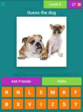 Guess the dog quiz游戏截图2