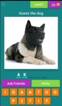 Guess the dog quiz游戏截图1