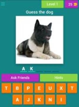 Guess the dog quiz游戏截图4