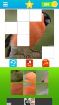 Fit the Pictures - Puzzle game游戏截图1