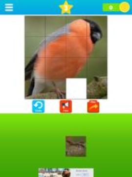 Fit the Pictures - Puzzle game游戏截图5