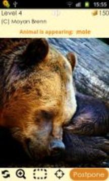 Find The Animal 2游戏截图5