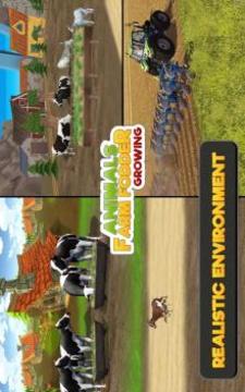 Animal Farm Fodder Growing游戏截图4
