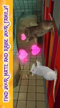 Rat Simulator 3D游戏截图3