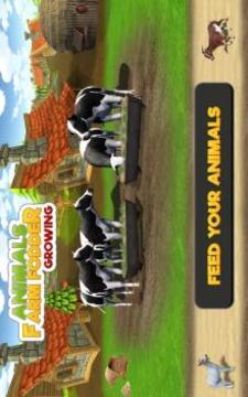 Animal Farm Fodder Growing游戏截图1