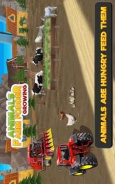 Animal Farm Fodder Growing游戏截图5