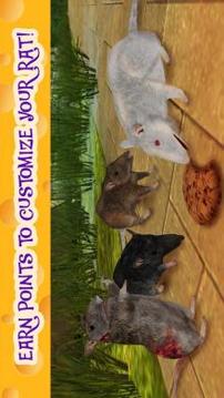 Rat Simulator 3D游戏截图4