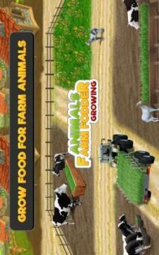 Animal Farm Fodder Growing游戏截图3