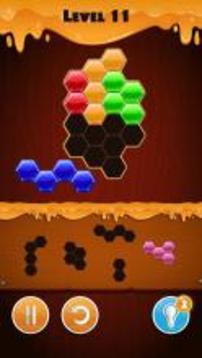 Hexa Puzzle - Challenge游戏截图2