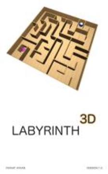 Labyrinth 3D / Maze 3D游戏截图2