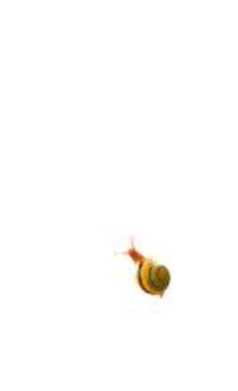 蜗牛游戏截图2