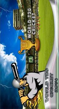 World T20 Cricket游戏截图4