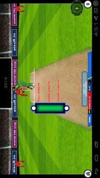 World T20 Cricket游戏截图3