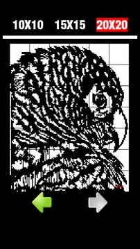 Nonogram4（绘图方块逻辑）游戏截图2