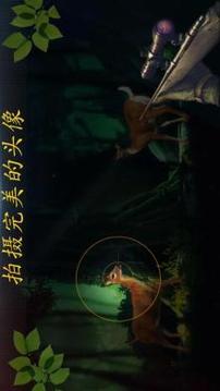 丛林狩猎冒险游戏截图4