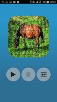 Animals Puzzel Game游戏截图2