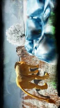 Safari Lion Simulator Free游戏截图2