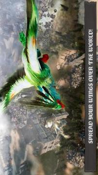 Hippogriff Bird Simulator 3D游戏截图4