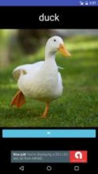 Learning Animals and Insects Flash Cards游戏截图2