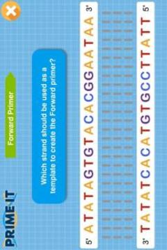 Prime It DNA Game游戏截图4