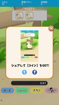 birdwatch ~healing-game~游戏截图2