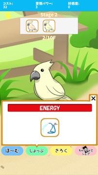 birdwatch ~healing-game~游戏截图1