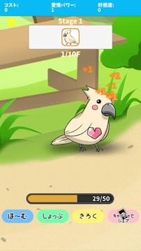 birdwatch ~healing-game~游戏截图4