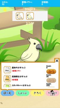 birdwatch ~healing-game~游戏截图5