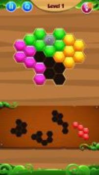 Hexagon Box Puzzle Game!游戏截图5