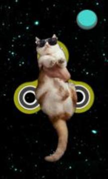 Fidget Spinner: Cats in Space游戏截图4