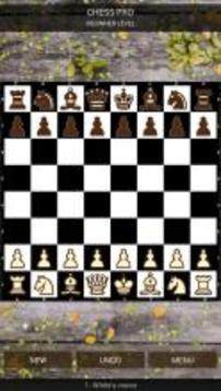 Chess pro ™游戏截图2