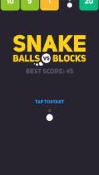 Snake: Balls vs Blocks游戏截图5