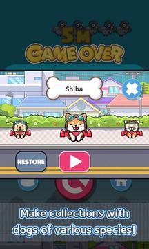 Jet Dog: The Champion游戏截图4