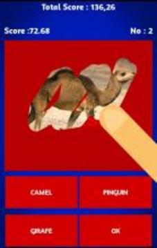 Scratch And Guess Animals游戏截图2