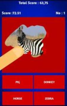 Scratch And Guess Animals游戏截图1